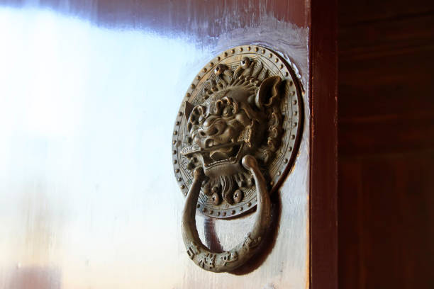 istock metal animal head on door panel 1007616066