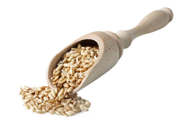 istock Oat groats in a wooden spoon 1007624394
