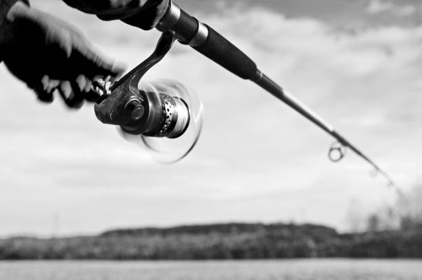 istock A fisherman catches a fish. Spinning reel closeup. Black and white image. Blurry 1007630370