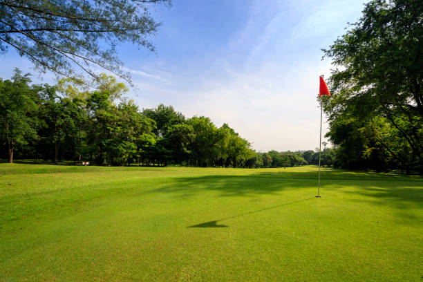 cancha de golf - golf course fotografías e imágenes de stock
