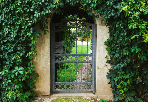 istock Interesting Entrance of a Household 1007645812