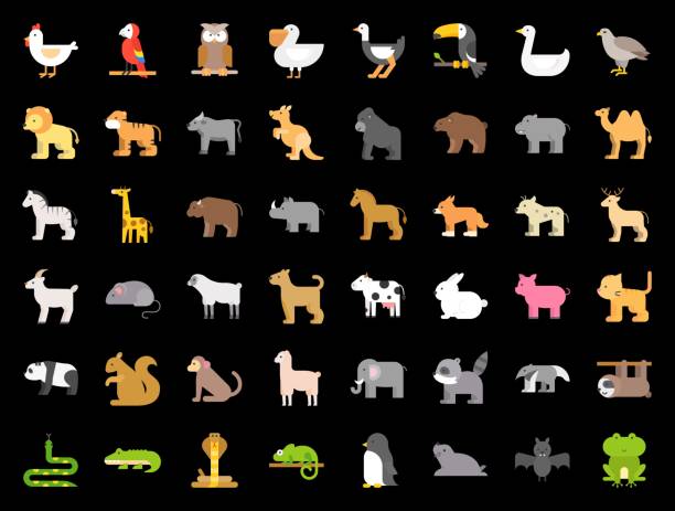 kuvapankkikuvitukset aiheesta iso joukko eläintarhaa, safaria, arktista, metsäeläintä ja lintua, kuten tiikeri, hylje, kameli, laiskiainen, kenguru, sammakko, pelikaani, papukaija, toucan-kuvake,, litteä muotoilu - kuningaskobra