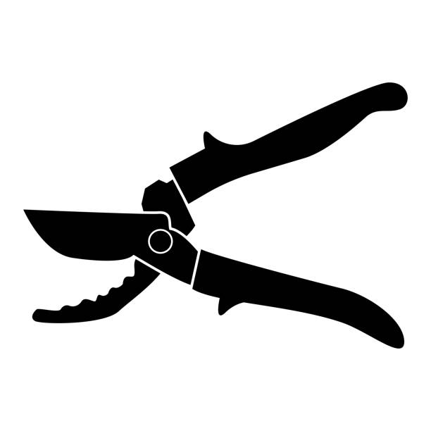 Secateur black color icon . Secateur it is black color icon . branch trimmers stock illustrations