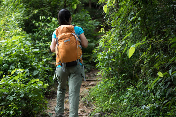 istock Woman hiking on forest trail 1007652092