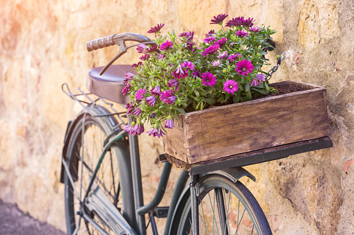 Old bicycle leaning in the street, decoration purposes outside a clothing store, basket and crate with flower pots. Lugo city, Galicia, Spain.