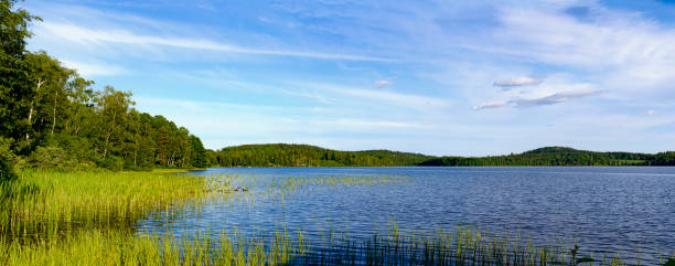 view across the lake Gissen with flat riparian zone vegetated by reed, Sweden
