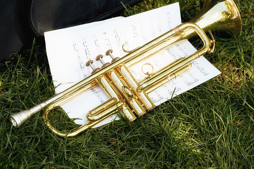 A musical trumpet with paper notes lies on the green grass on a lawn in the park.