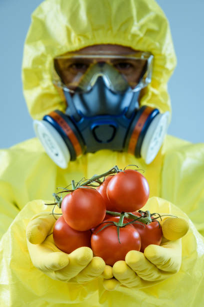 gmo - tomato genetic modification biotechnology green fotografías e imágenes de stock