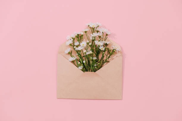 istock Opened envelope with flowers arrangements on pink background, top view. Festive greeting concept 1007675154