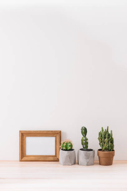 istock Modern room decoration. Various cactus and succulent plants in different pots. Mock-up with a wooden frame. 1007675588