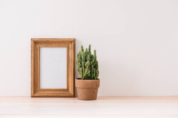 istock mock up frame with cactus pot on wooden floor 1007675704