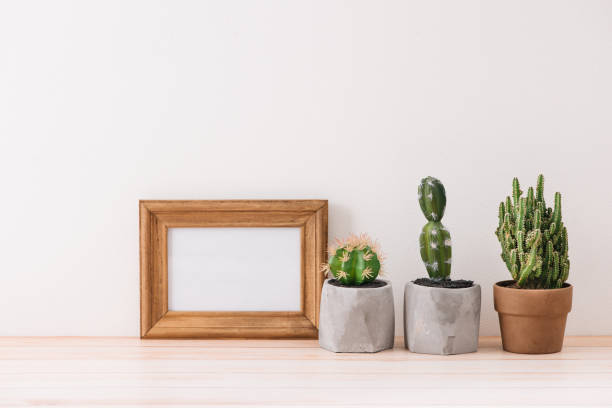istock Modern room decoration. Various cactus and succulent plants in different pots. Mock-up with a wooden frame. 1007675830