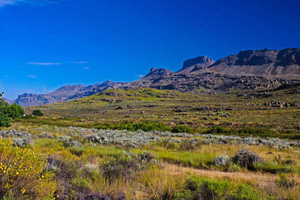 istock Landscape of Cederberg mountains 1007678520
