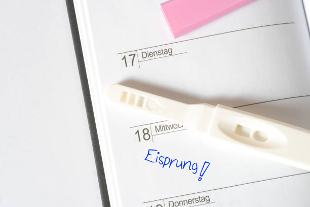 A calendar, pregnancy test and date for ovulation A calendar, pregnancy test and ovulation appointment ovulation stock pictures, royalty-free photos & images