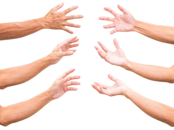 istock Set of asian man hands isolated on white background 1007694672