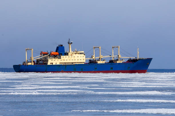 Blue cargo ship floating between the ice on the frozen sea stock photo