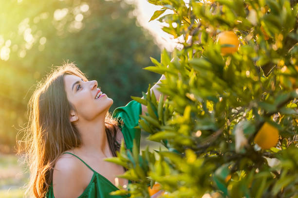 istock Woman, outdoors at sunset in a orange orchard 1007713984