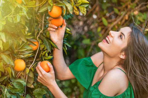 istock Happy girl outdoors at sunset picking oranges 1007716418