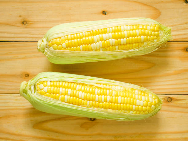 Ears of bicolor sweet corn