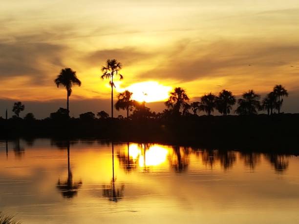 Sunset Sunset in the Bay in the pantanal pantanal wetlands photos stock pictures, royalty-free photos & images