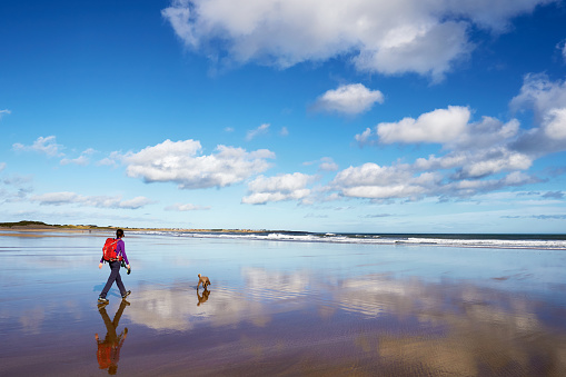 A hiker and their dog walking along a sandy beach  at Embleton Bay, Northumberland, England, UK.