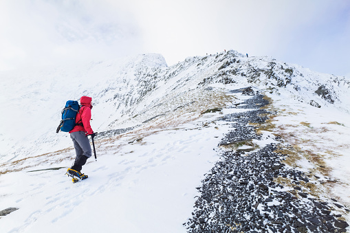 A hiker climbing on route to the summit of Blencathra (Saddleback) in the Lake District.