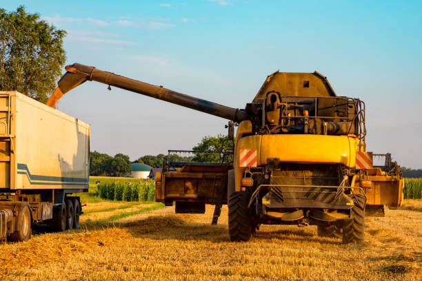 istock big combine harvester threshing in the sunset. 1007725928
