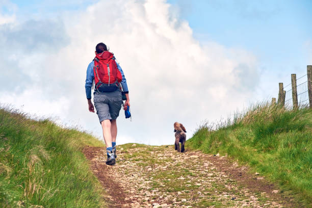 promener un chien dans la campagne anglaise. - landes écossaises photos et images de collection