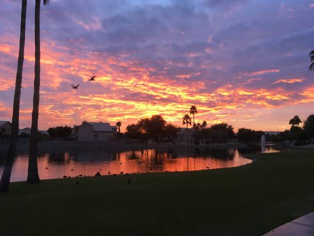 istock Oasis Lake Sunset in Tempe Arizona in January 1007726572