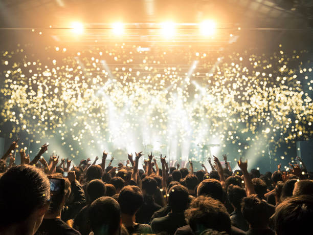 istock Concert crowd in front of a live stage 1007737066