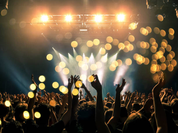 istock Concert crowd in front of a live stage 1007737074