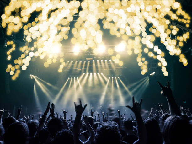 istock Concert crowd in front of a live stage 1007737080
