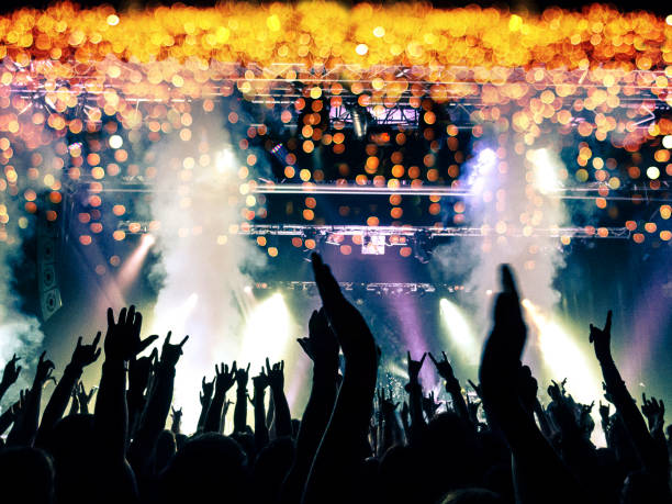 istock Concert crowd in front of a live stage 1007737084