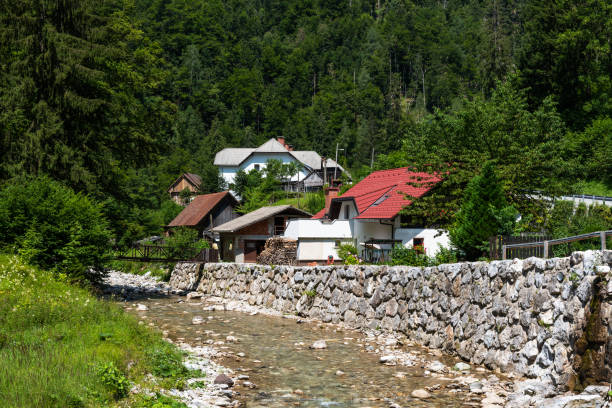 istock Spodnje Jezersko - Slovenia - characteristic village 1007739548