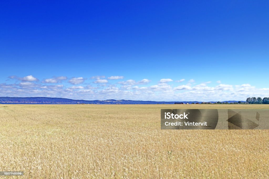 Landscape Visingsö landscape Agricultural Field Stock Photo