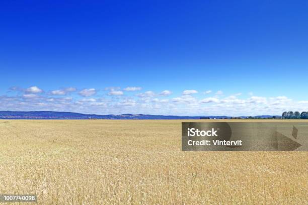 Landscape Stock Photo - Download Image Now - Agricultural Field, Agriculture, Horizontal