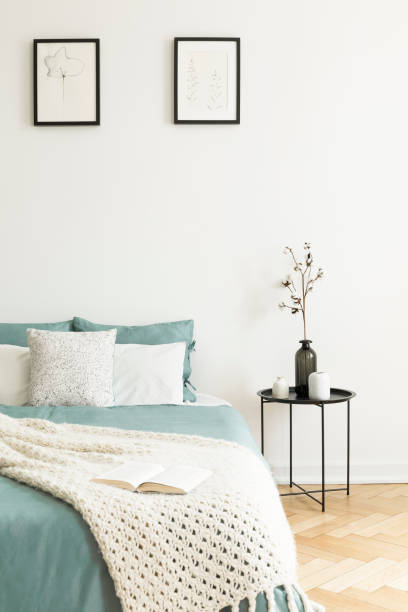 istock Posters above bed with pillows and knit blanket in bright bedroom interior with table. Real photo 1007742596