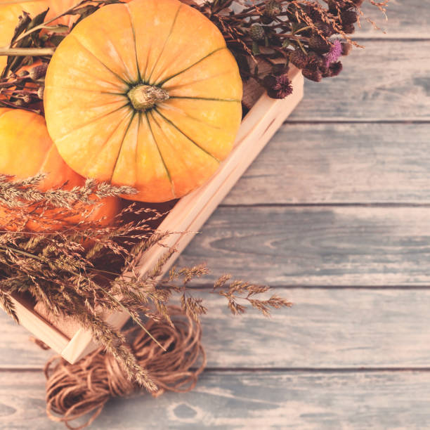 istock Autumn pumpkins and dry flowers flat lay 1007763268