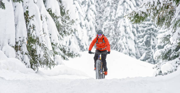 istock Male mountain biker riding fatbike 1007763334