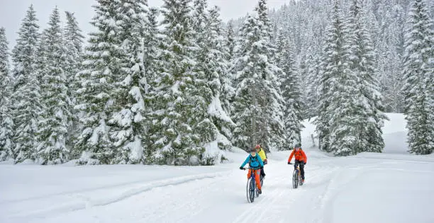 Male and female mountain bikers riding fatbikes on snow covered landscape.
