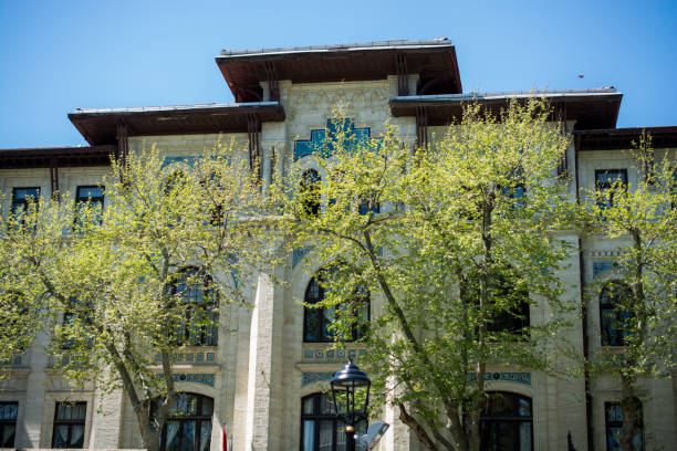 istock Fine example of ottoman Turkish architecture fragments 1007763790