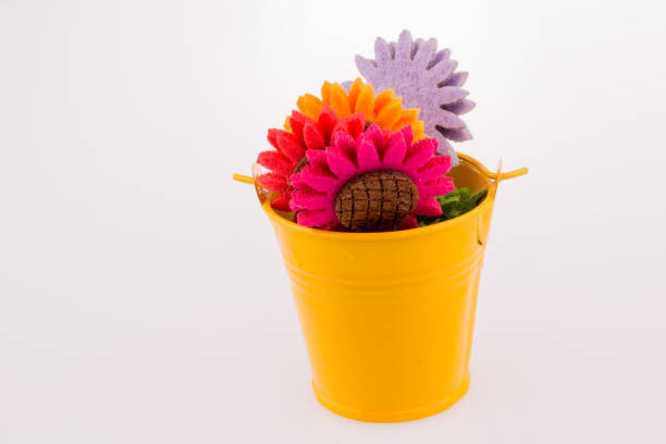 Different color flowers in bucket  on white background