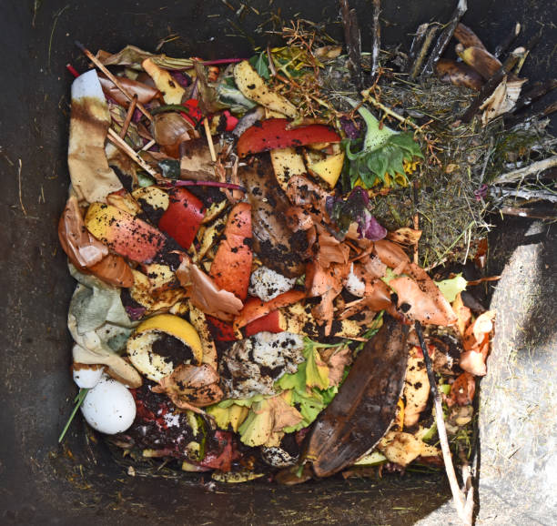 istock View into a bio container  with various organic wastes for recycling 1007769178