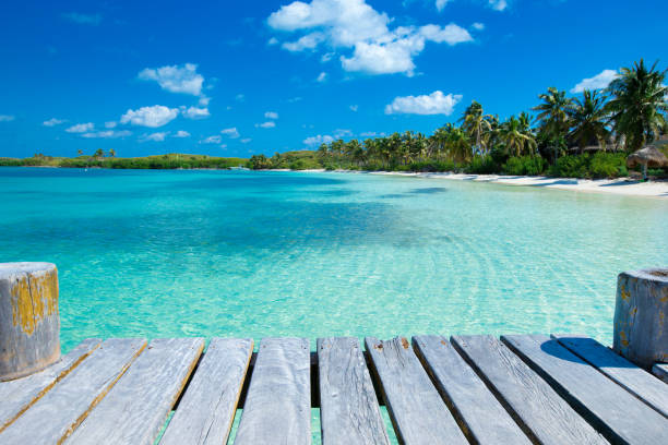 istock beach and tropical sea 1007776966