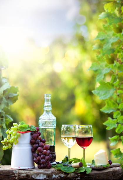 Still life with red and white wine in a green garden at sunset