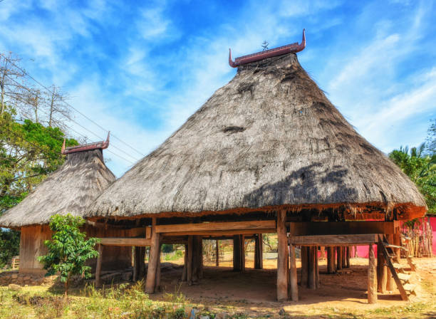 istock Traditional house on East Timor, Timor-Leste 1007794836