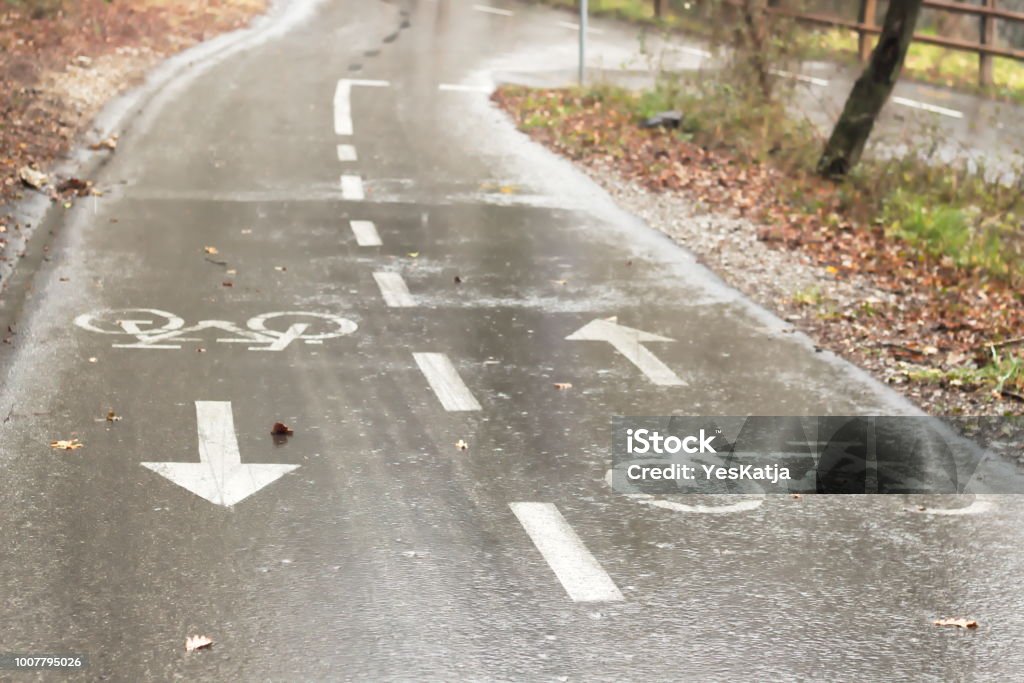 Señal de tráfico de bicicletas en el asfalto mojado - Foto de stock de Bicicleta libre de derechos