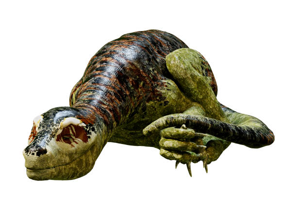 istock 3D illustration dinosaur Tyrannosaurus hatchling on white 1007795350