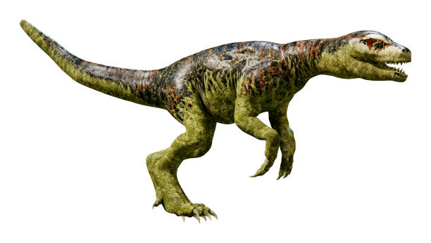 istock 3D illustration dinosaur Tyrannosaurus hatchling on white 1007798628