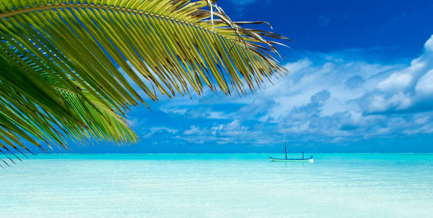 istock tropical beach in Maldives 1007811426